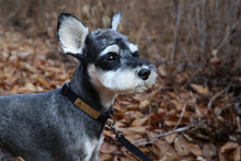 Load image into Gallery viewer, Easy Leash (Black-One Size)