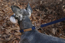 Load image into Gallery viewer, Easy Leash (Navy-One Size)