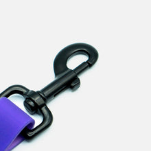 Load image into Gallery viewer, Empress Aqua Waterproof Leash