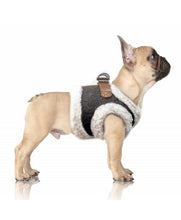 Load image into Gallery viewer, Evan Harness Grey