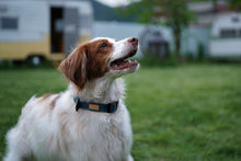 Load image into Gallery viewer, Field Collar (Navy)