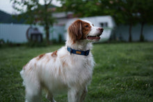 Load image into Gallery viewer, Field Collar (Navy)