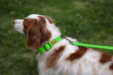 Load image into Gallery viewer, Field Collar (Neon Green)