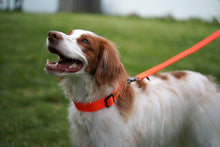 Load image into Gallery viewer, Field Collar (Neon Orange)