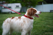 Load image into Gallery viewer, Field Collar (Red)
