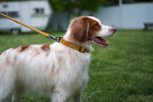 Load image into Gallery viewer, Field Collar (Yellow)