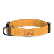Load image into Gallery viewer, Field Collar (Yellow)