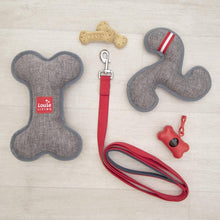 Load image into Gallery viewer, Frisbee