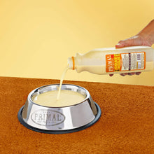 Load image into Gallery viewer, Frozen Goat Milk Pumpkin Spice Dog & Cat 32oz