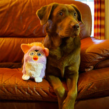 Load image into Gallery viewer, Furrby Plush Dog Toy