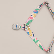 Load image into Gallery viewer, Gaston Harness