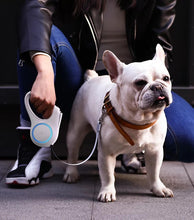 Load image into Gallery viewer, Go Shine Leash Max