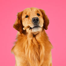 Load image into Gallery viewer, Hive Dog Chew Stick Ground Peanuts and Honey 7oz