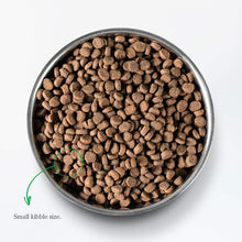 Load image into Gallery viewer, Homestead Turkey & Chicken Dry Cat Food 4lb