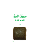 Load image into Gallery viewer, Immune Chews