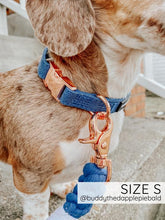 Load image into Gallery viewer, Jean Dog Collar