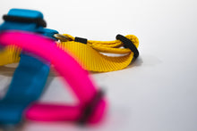 Load image into Gallery viewer, Jubilee Harness