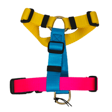 Load image into Gallery viewer, Jubilee Harness