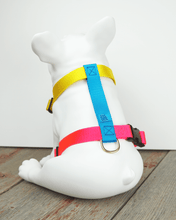 Load image into Gallery viewer, Jubilee Harness