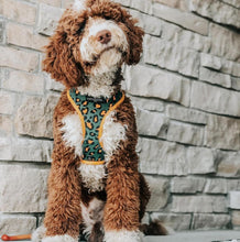 Load image into Gallery viewer, Jungle Vibes Reversible Harness