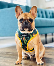 Load image into Gallery viewer, Jungle Vibes Reversible Harness