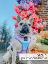 Load image into Gallery viewer, Love Actually Reversible Dog Harness