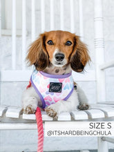 Load image into Gallery viewer, Love Actually Reversible Dog Harness