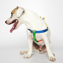 Load image into Gallery viewer, Sonia Harness (Yellow & Lime Multi)
