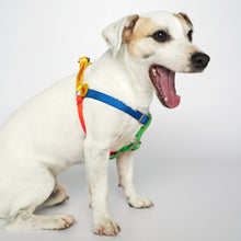 Load image into Gallery viewer, Sonia Harness (Yellow & Lime Multi)