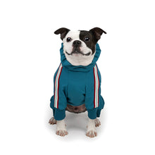 Load image into Gallery viewer, Montana Bodysuit (Teal Blue)