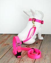 Load image into Gallery viewer, Neon Pink Leash Adjustable 4ft-7ft