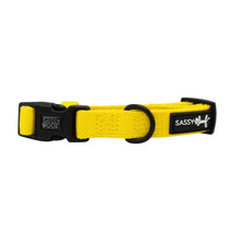Load image into Gallery viewer, Neon Yellow Dog Collar