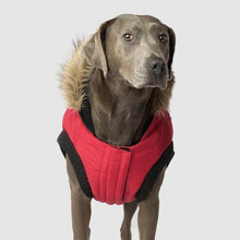 Load image into Gallery viewer, North Pole Parka (Red) - WAGSUP