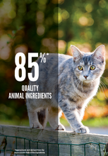 Load image into Gallery viewer, Original Cat & Kitten Food (1.8kg)