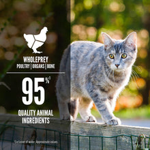 Load image into Gallery viewer, Original Entree Cat Canned Food (3oz)