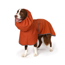 Load image into Gallery viewer, Park Raincoat (Brick Red)