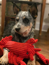 Load image into Gallery viewer, Plush Lobster Crunch Toy 14"