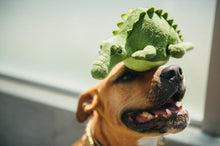 Load image into Gallery viewer, Safari Jeep Crocodile