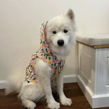 Load image into Gallery viewer, The Poolside Chillin Reverside Raincoat