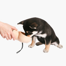 Load image into Gallery viewer, Portable Pet Travel Bottle (Green)