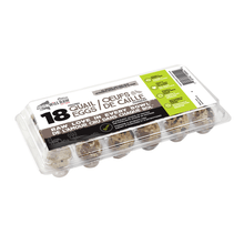 Load image into Gallery viewer, Quail Eggs