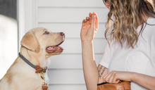 Load image into Gallery viewer, Rope Collar (Navy)