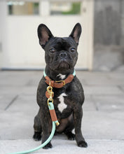 Load image into Gallery viewer, Rope Leash - Mint