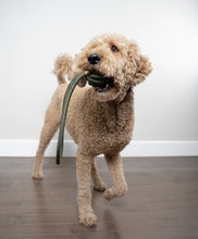 Load image into Gallery viewer, Rope Toy Olive Green