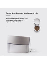 Load image into Gallery viewer, S-type Tilted Cat Double Bowl (Green)