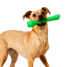 Load image into Gallery viewer, Scented Coconut Hive Fetch Stick Dog Toy