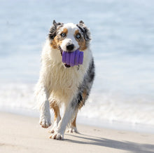 Load image into Gallery viewer, Scented Lavender Hive Chew for Large Dogs