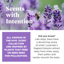 Load image into Gallery viewer, Scented Lavender Hive Disc Dog Toy