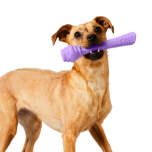 Load image into Gallery viewer, Scented Lavender Hive Fetch Stick Dog Toy