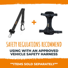 Load image into Gallery viewer, Seat Belt for Buckle